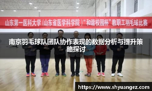 南京羽毛球队团队协作表现的数据分析与提升策略探讨