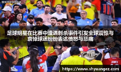 足球明星在比赛中遭遇刺杀事件引发全球震惊与哀悼球迷纷纷表达愤怒与悲痛
